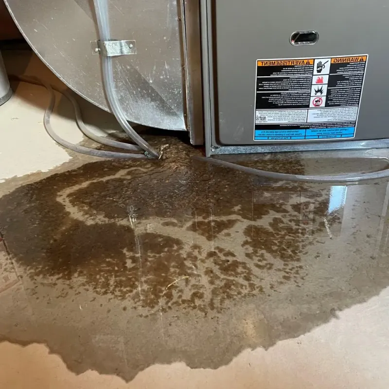 Pipe Burst and Leak Restoration in Mifflin County, PA