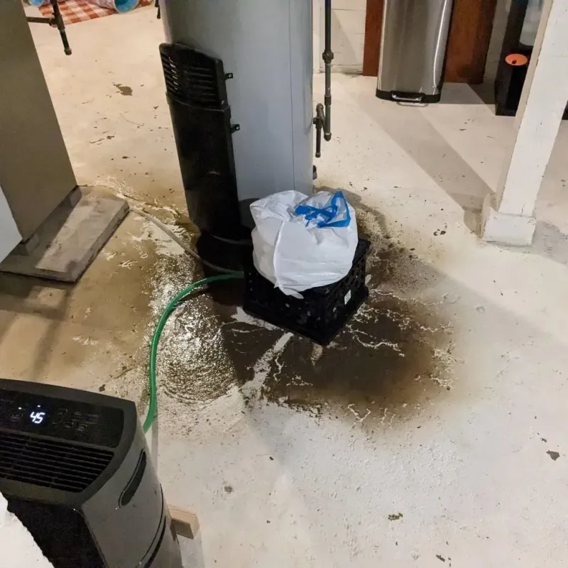 Sewage Backup Cleanup Service in Mifflin County, PA